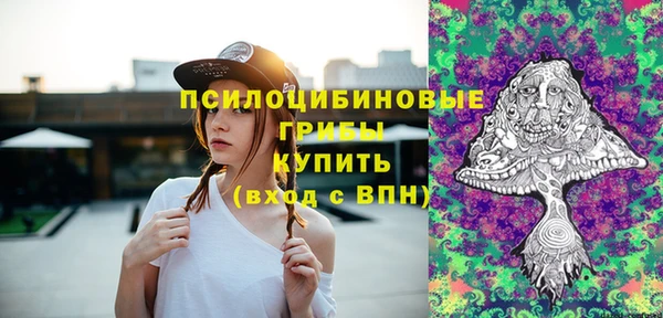 дживик Нягань