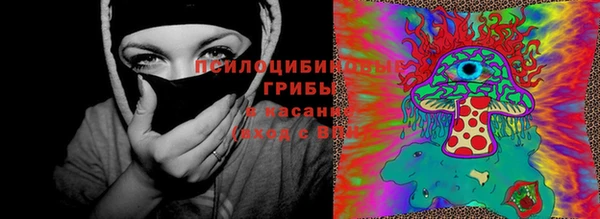 не бодяженный Нязепетровск